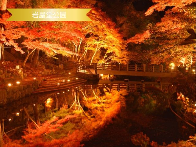 岩屋堂公園の紅葉のライトアップ