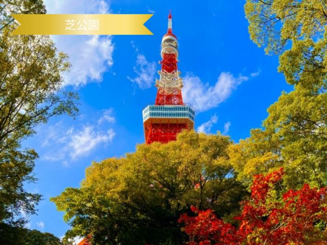 東京タワーと紅葉