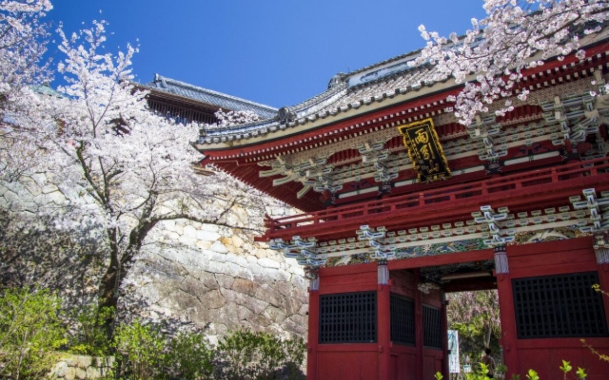 雨引観音の桜　桜デート　茨城の桜スポット