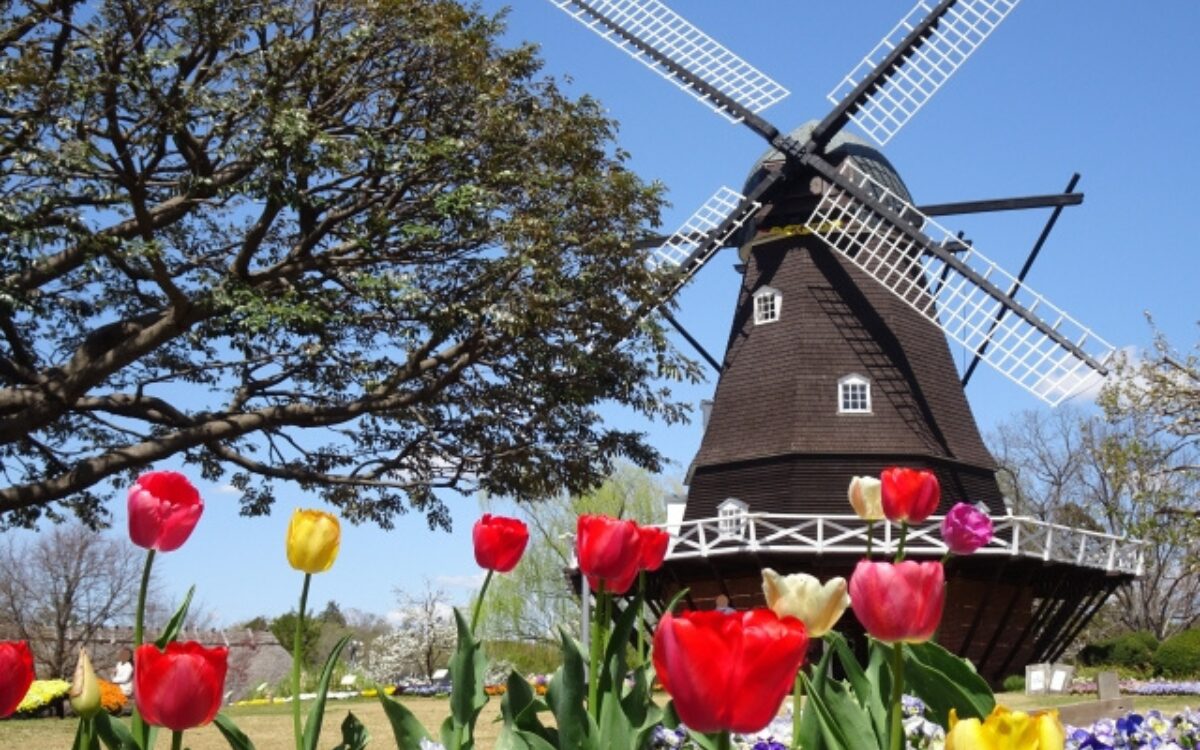 ふなばしアンデルセン公園　春デート　お花見デート