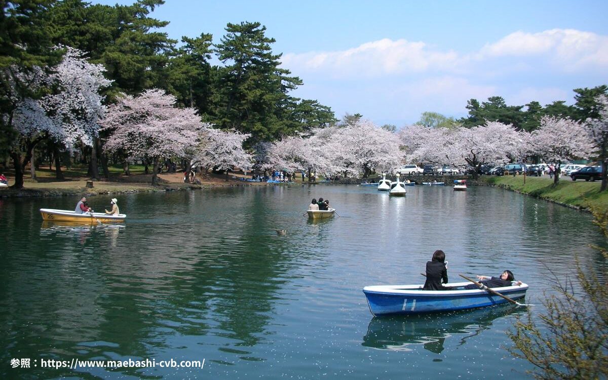 群馬の桜　お花見デート　　桜