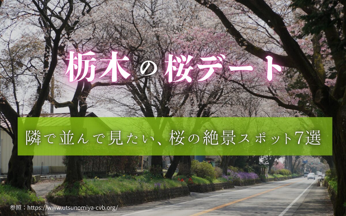 栃木の桜デート　お花見デート　カップル