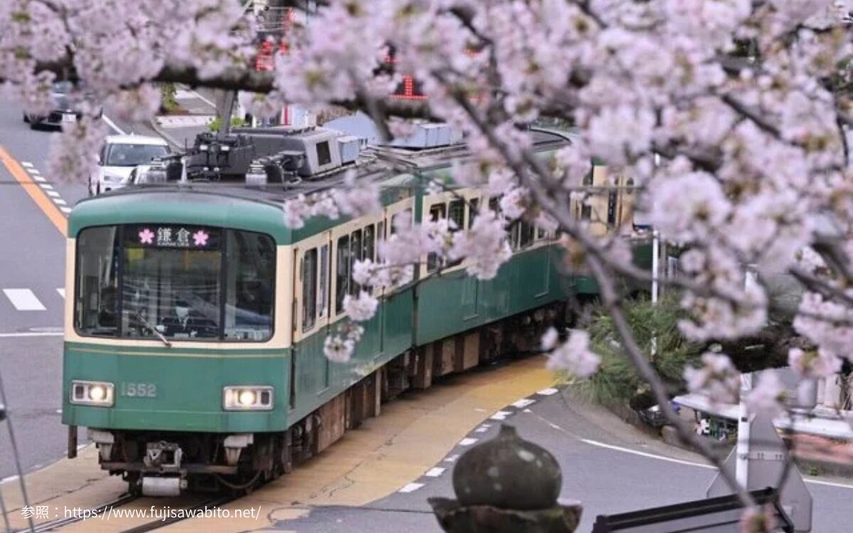 江ノ電　お花見デート　鎌倉　江の島