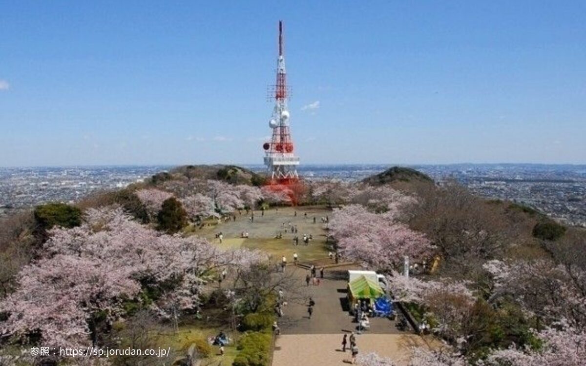 湘南平　高麗山公園　お花見デート