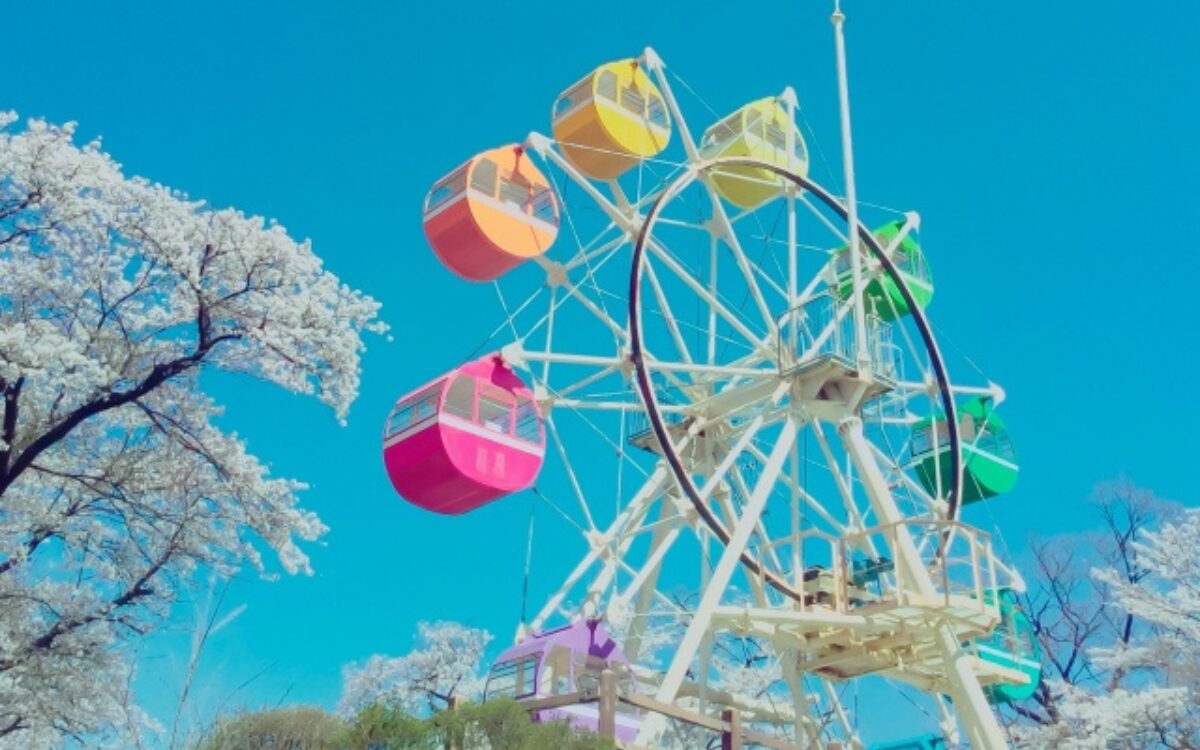 栃木の桜デート　千手山公園　観覧車デート